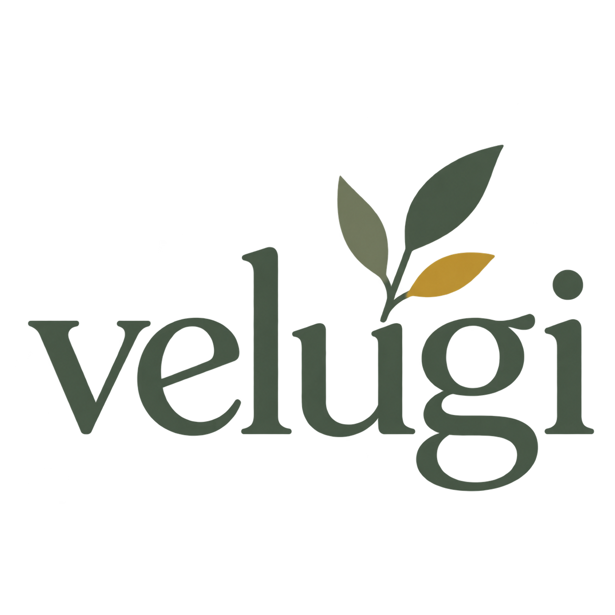 VELUGI